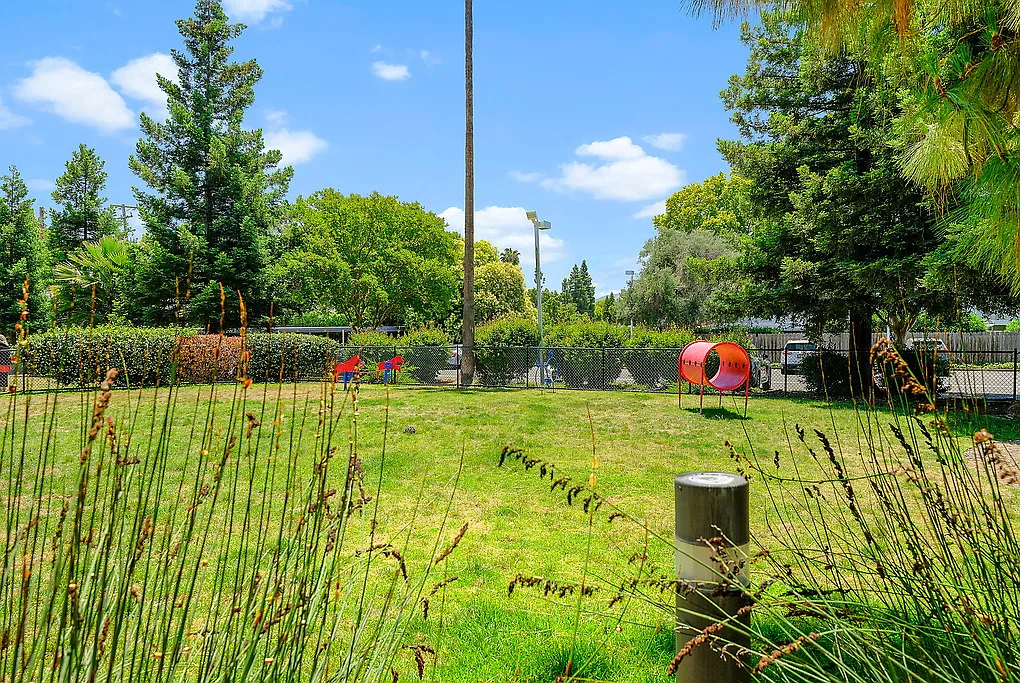 The Parc at Pruneyard — Photo 4