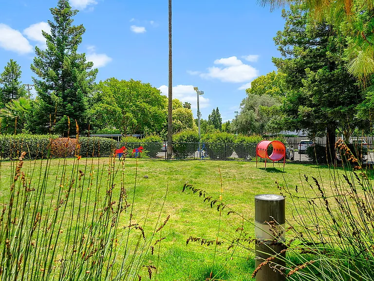 The Parc at Pruneyard — Photo 5