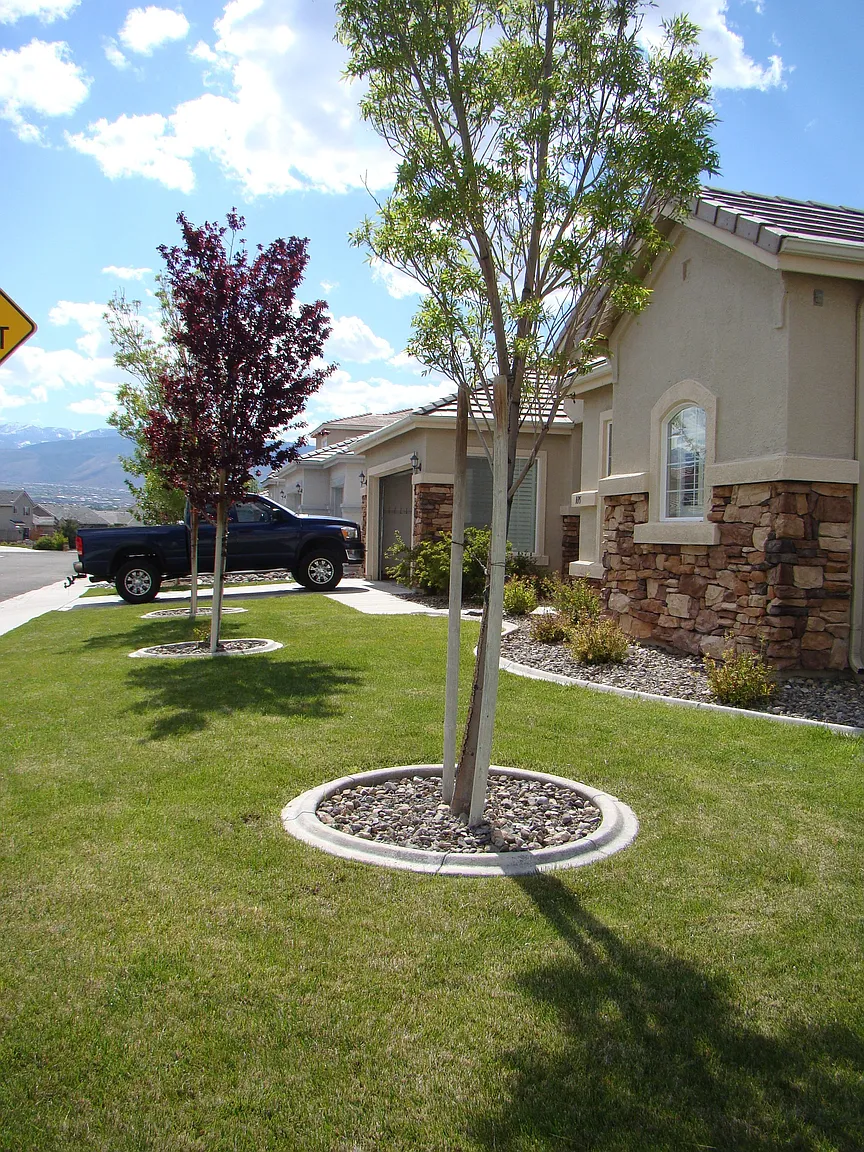 1695 Crater Ct photo 1