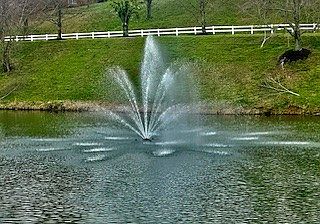 4th image of 142 Ridgeview Trce