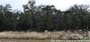 1st image of 20003 Terra Cyn
