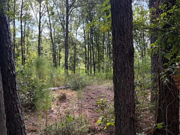 R 3 155685 Miles Rd, Lufkin, TX 75901