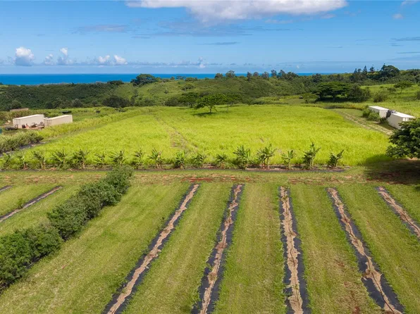 64-486 Kamehameha Hwy #15-B, Haleiwa, HI 96712
