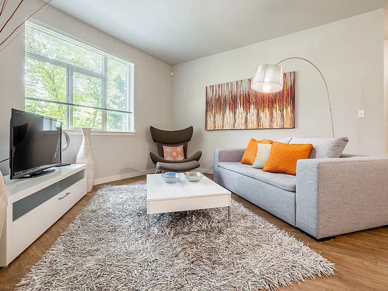 Model Home Living Room