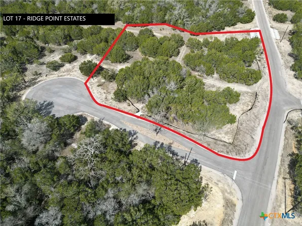 17 Edwards Ct, Bertram, TX 78605