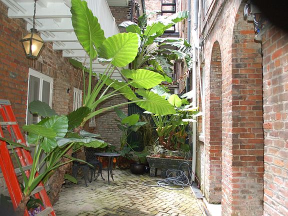 Courtyard View Right