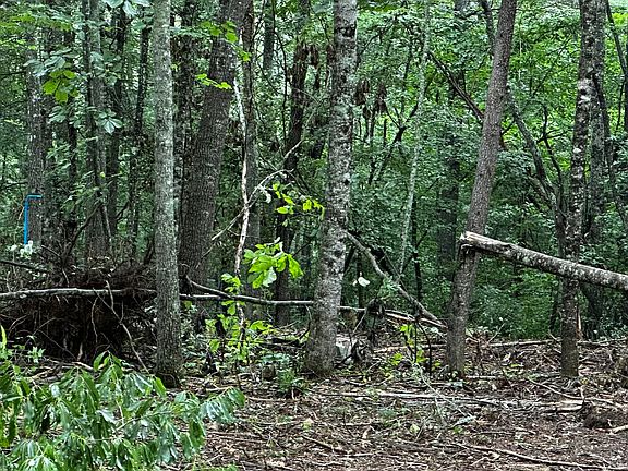 4th image of 1359 Brown Creek Dr