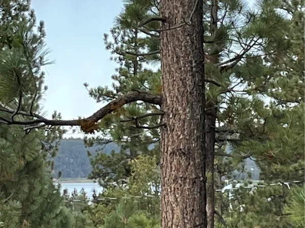 833 Great Spirits Way Lot 2, Big Bear Lake, CA 92315