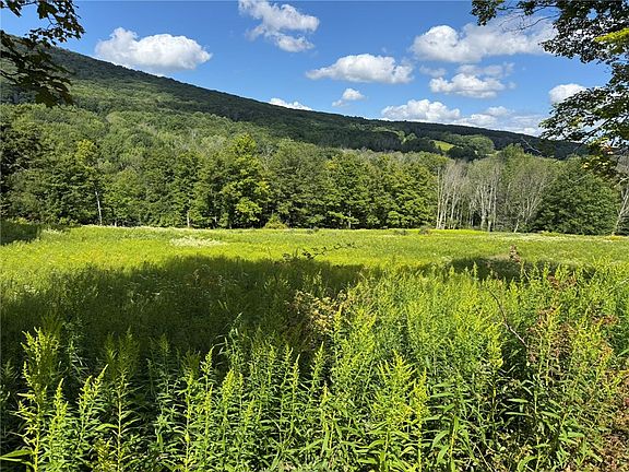 5th image of 0 Lower Meeker Hollow Rd Lot 1
