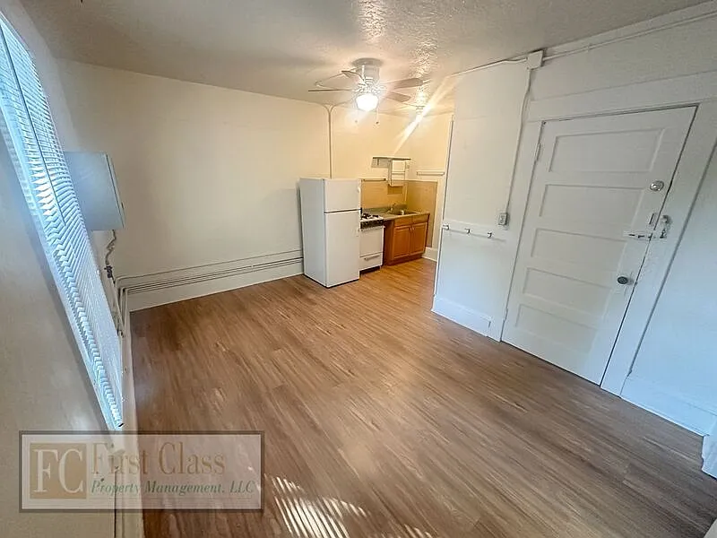 Studio, 250 sqft, $745 — Photo 2