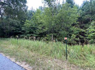 Orchard Hill Rd, Bellaire, MI 49615