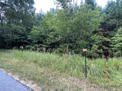 Orchard Hill Rd, Bellaire, MI, 49615