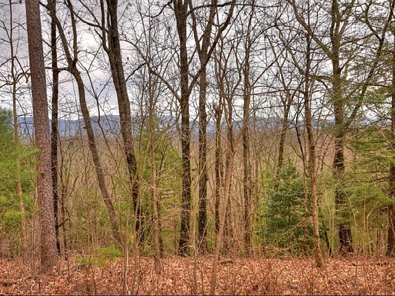 3rd image of LOT 17 Abbott Mill Rd