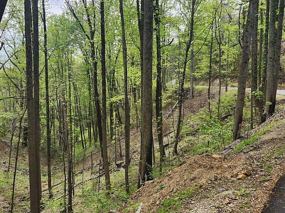 4th image of LOT 1 Hatcher Mountain Rd