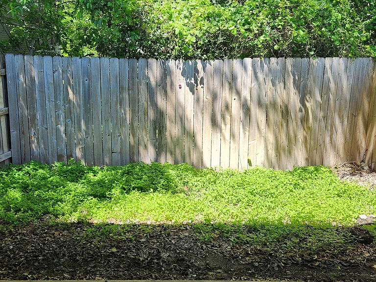 215 Eleanor Ave — Photo 12
