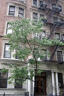 Sold by Bellmarc Realty | media 7