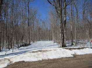 2962 Allison Dr, Birchwood, WI 54817