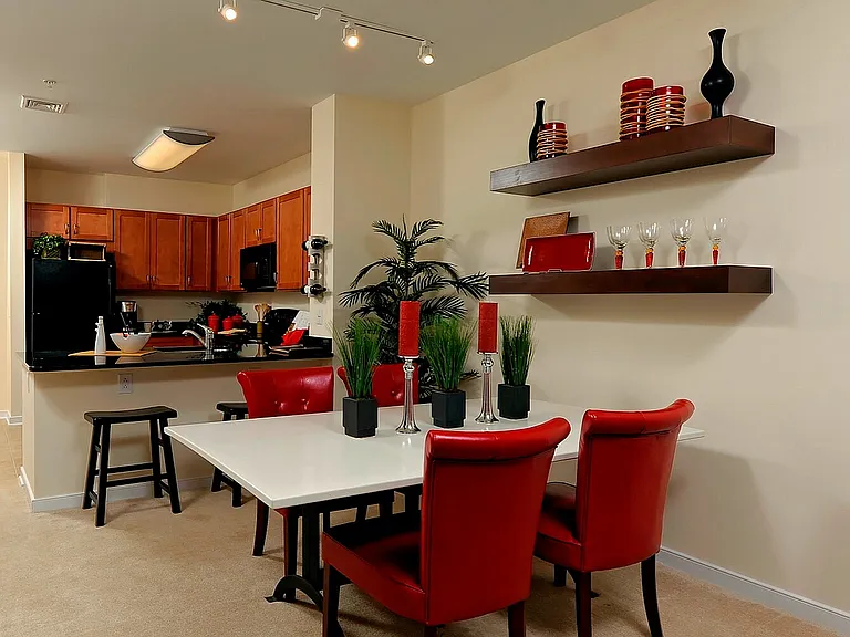 Contemporary Kitchen With Living/Dining Area Large Enough For a Full Dining Table