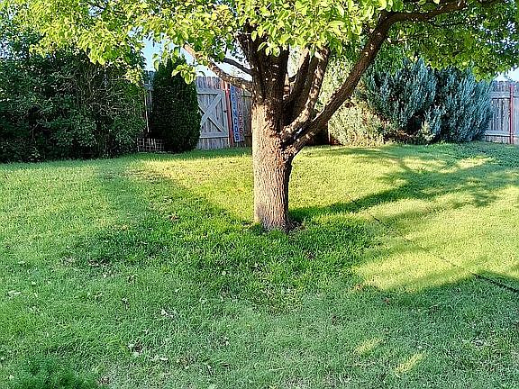 2nd image of 12105 Cactus Dr