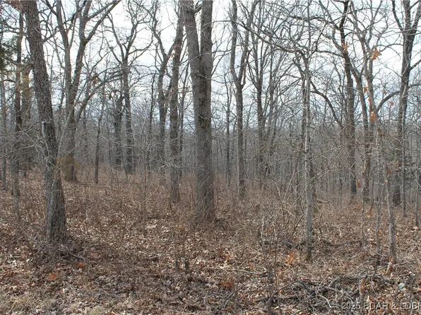 Anne Dr #1786, Edwards, MO 65326