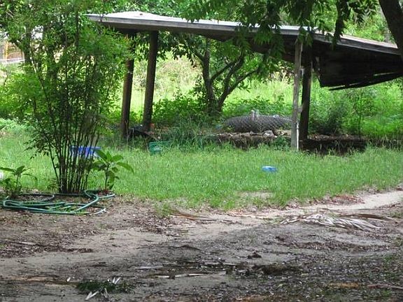 Yard