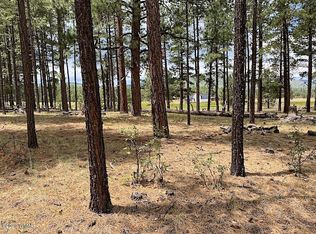 2 County Road 2266 Dr #2266, Alpine, AZ 85920