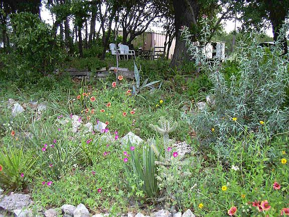 Lower cactus garden