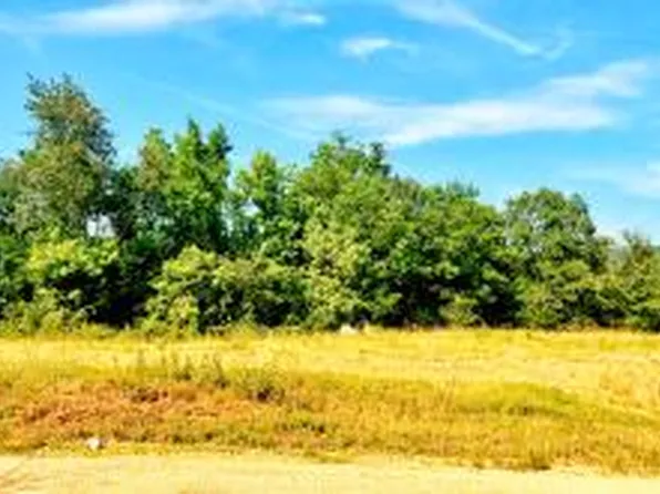 (undisclosed Address), Mount Judea, AR 72655