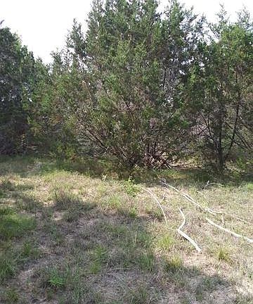 5th image of 221 Crazy Horse Trl