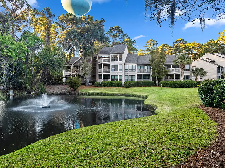 View from the pond