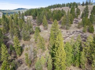 10911 S Lambs Ln, Mica, WA 99023