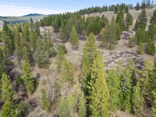10911 S Lambs Ln, Mica, WA 99023
