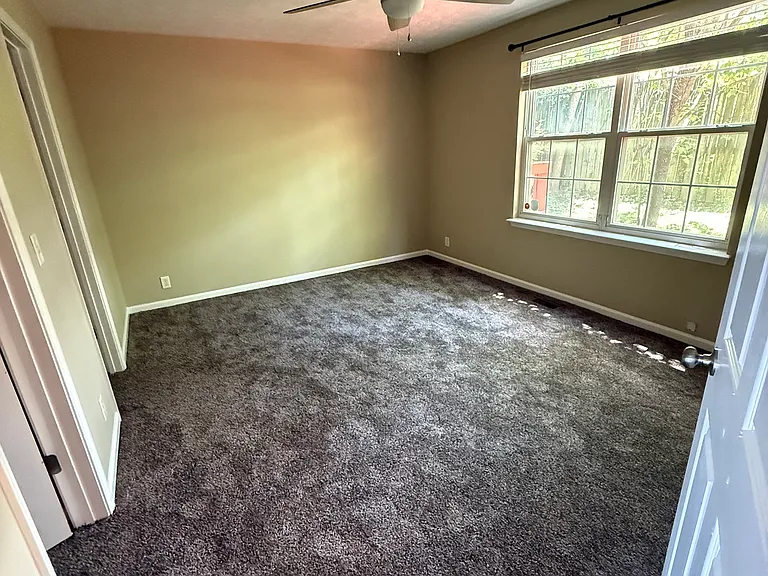 New carpet