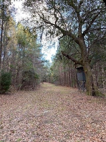 2nd image of Rutinbuck Ln