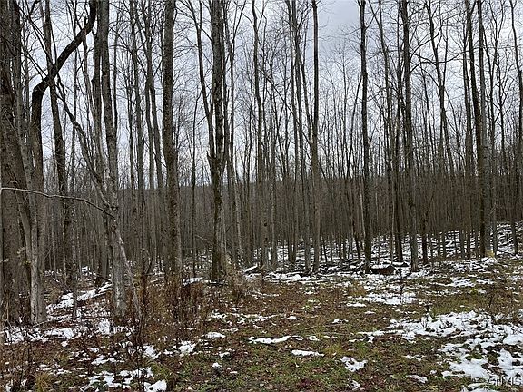 2nd image of Jersey Hill Rd