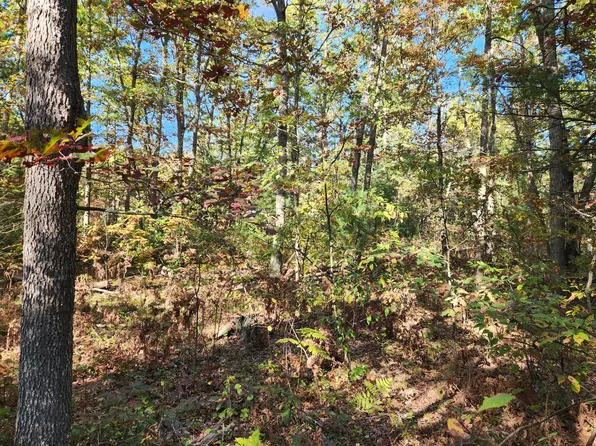 259 S Baker Rd, Wellston, MI 49689