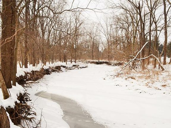 Stream 