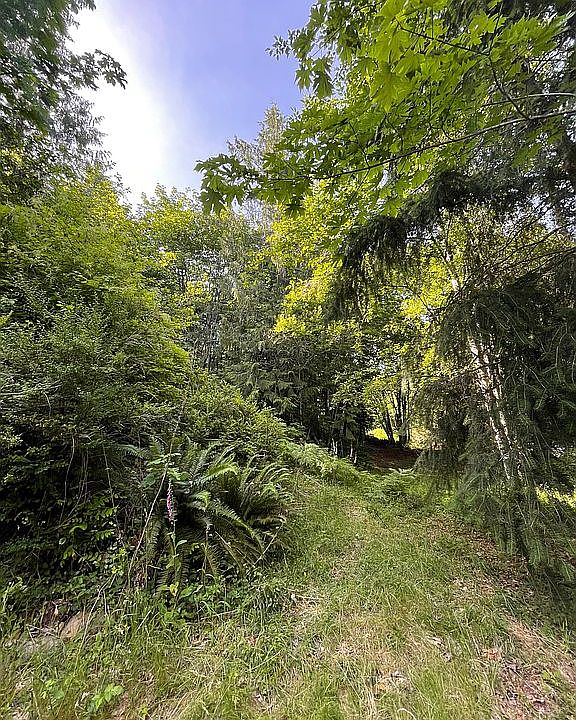 2nd image of 61 N Rustic Ridge Dr