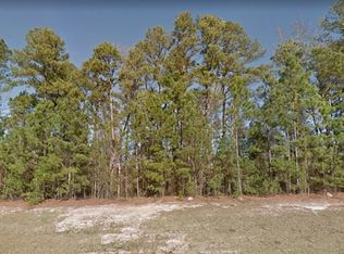 LOT 6 N Hill St #6, Sardis, GA 30456
