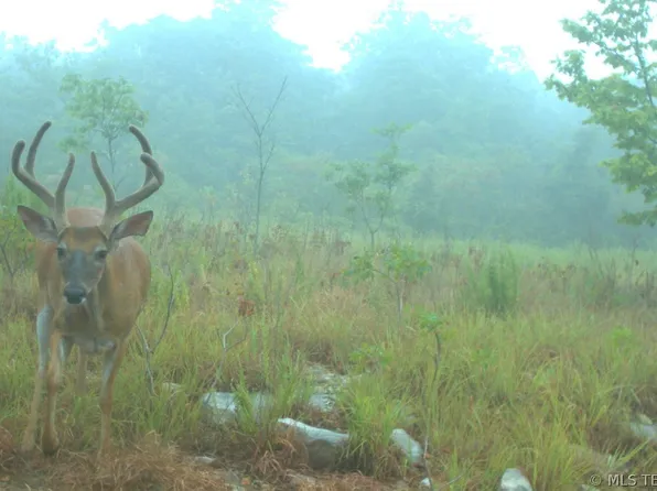 Us Highway 259, Hodgen, OK 74939