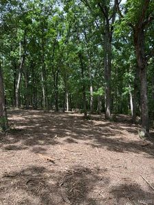 17 Hardwood Dr, Winfield, MO, 63389