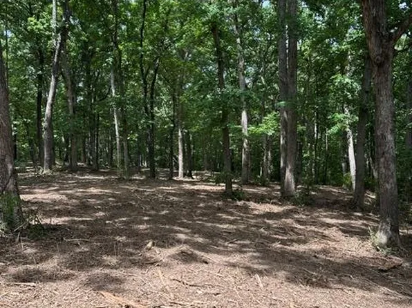 17 Hardwood Dr, Winfield, MO 63389