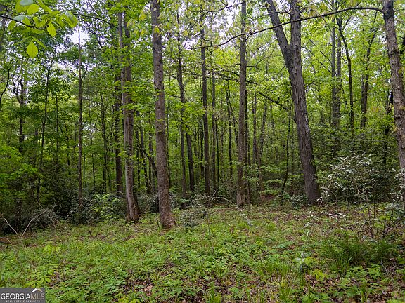 4th image of Georgia Kaolin Rd