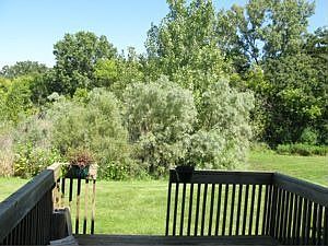 4th image of 8306 Sierra Woods Ln