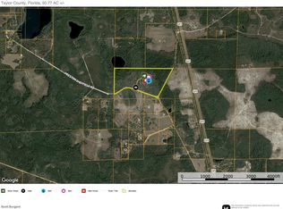 3850 Preston Sheffield Rd LOT WP001, Greenville, FL 32331