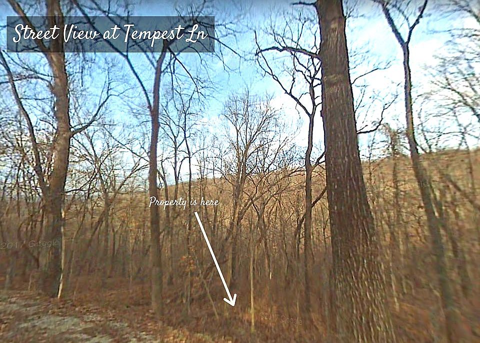 1st image of Tempest Ln