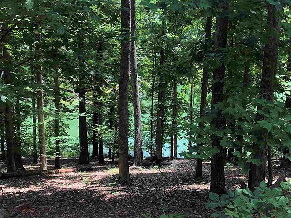 5th image of LOT 24 Beechwood Dr