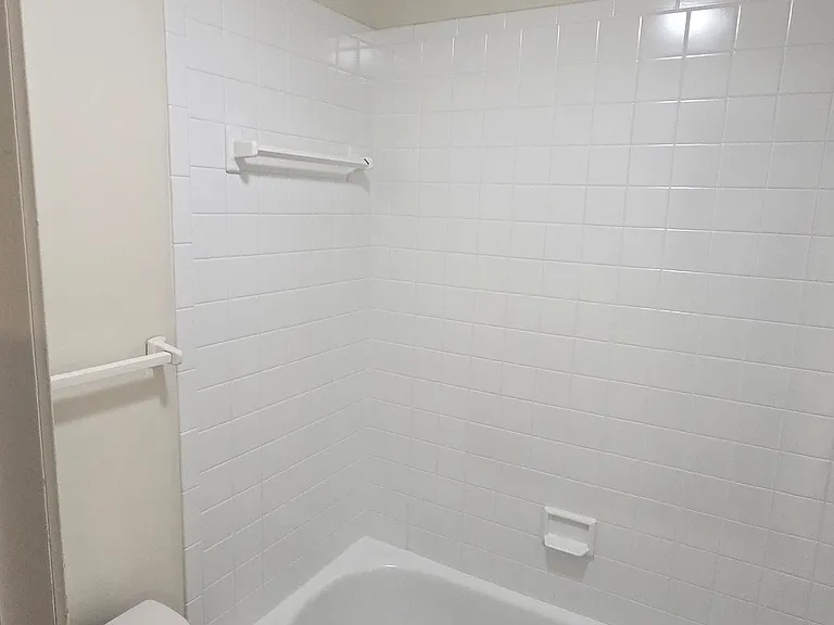 Tub shower combo
