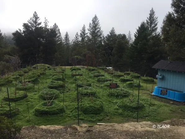 231 Dead Mule Gulch Rd, Lewiston, CA 96052