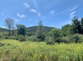 Wallis Run Rd, Trout run, PA 17771